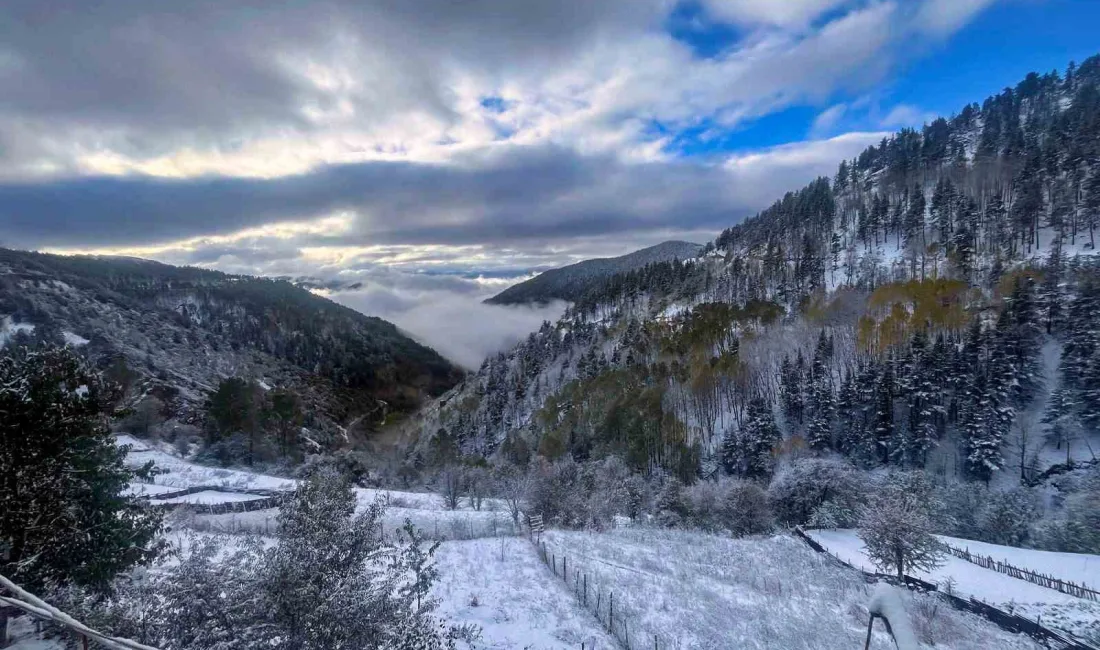 GÜMÜŞHANE’NİN TORUL İLÇESİNE BAĞLI