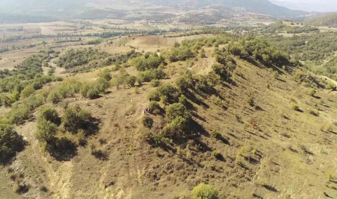 ANADOLU SELÇUKLU SULTANI 1.