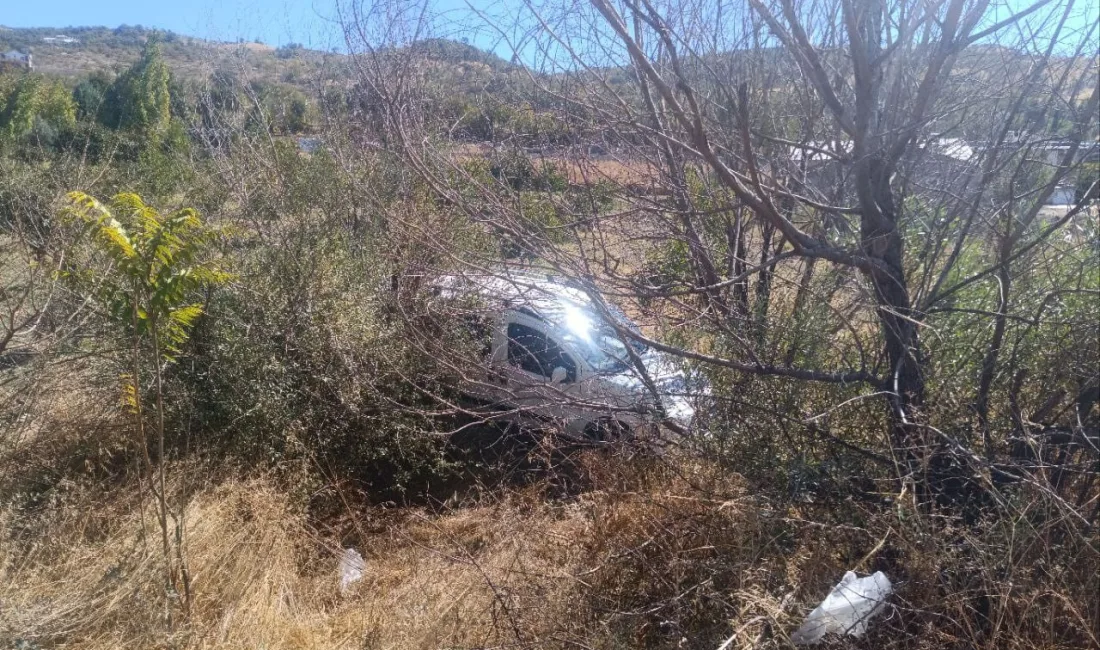 ADIYAMAN'IN GÖLBAŞI İLÇESİNDE HAFİF