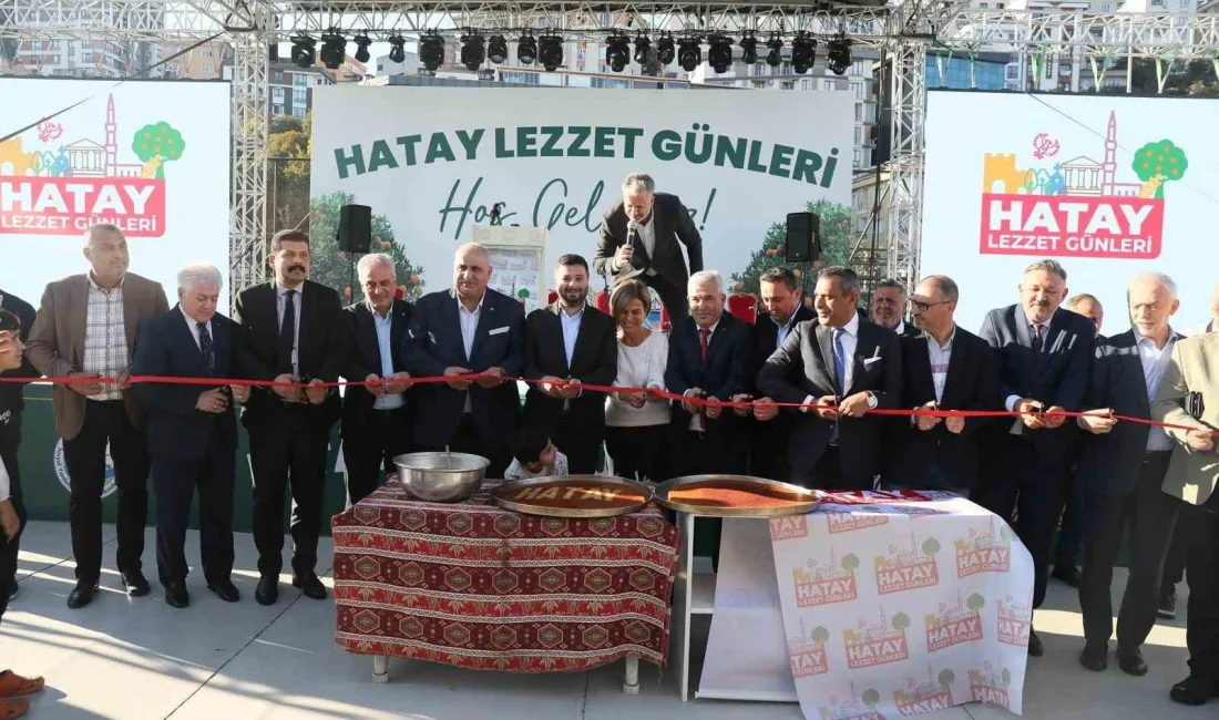 HATAY TANITIM GÜNLERİ, İSTANBUL