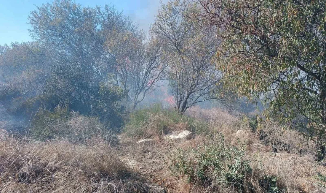 HATAY’DA ALEVLERİN ARASINDA KALAN