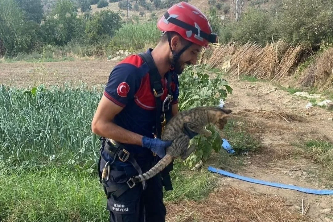 İzmir’de kuyuya düşen kediyi itfaiye kurtardı