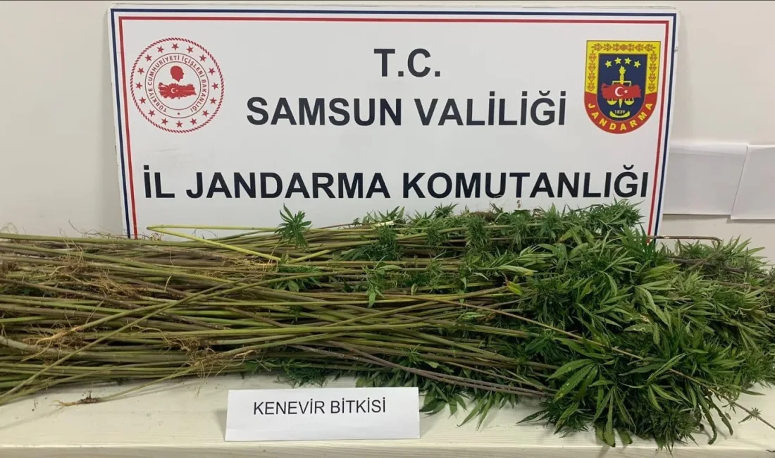 SAMSUN'DA JANDARMA EKİPLERİ TARAFINDAN