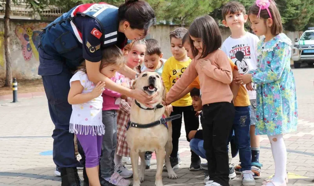 KIRŞEHİR İL JANDARMA KOMUTANLIĞI