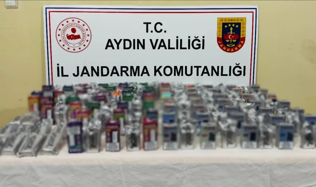 AYDIN'IN EFELER İLÇESİNDE JANDARMA