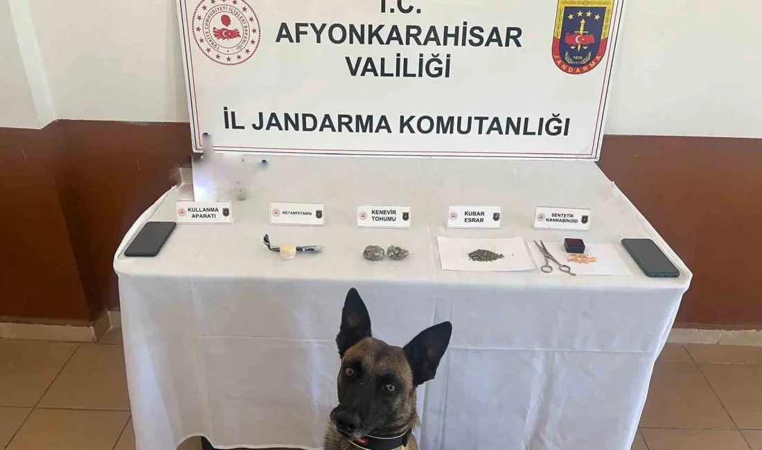 AFYONKARAHİSAR'DA JANDARMA EKİPLERİ YAPTIKLARI