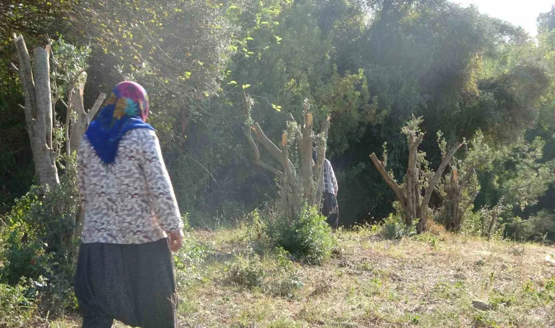 KAHRAMANMARAŞ’IN ANDIRIN İLÇESİNDE ARAZİ