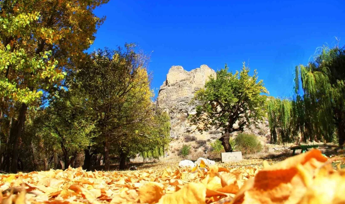 KAHRAMANMARAŞ'TA SARP KAYALAR ÜZERİNDE