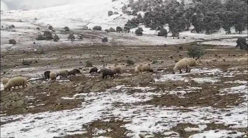 TOKAT'TA KAR YAĞIŞINA YAYLADA