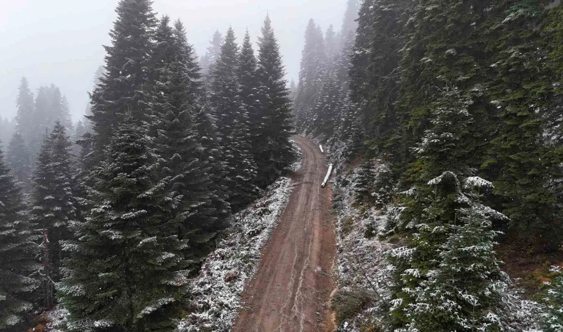 KARABÜK'TE HAVA SICAKLIKLARININ ANİDEN