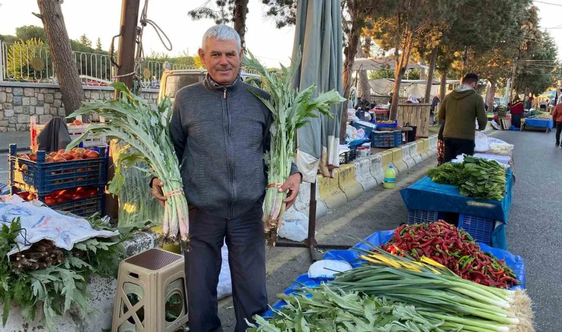 AYDIN'IN EFELER İLÇESİNE BAĞLI