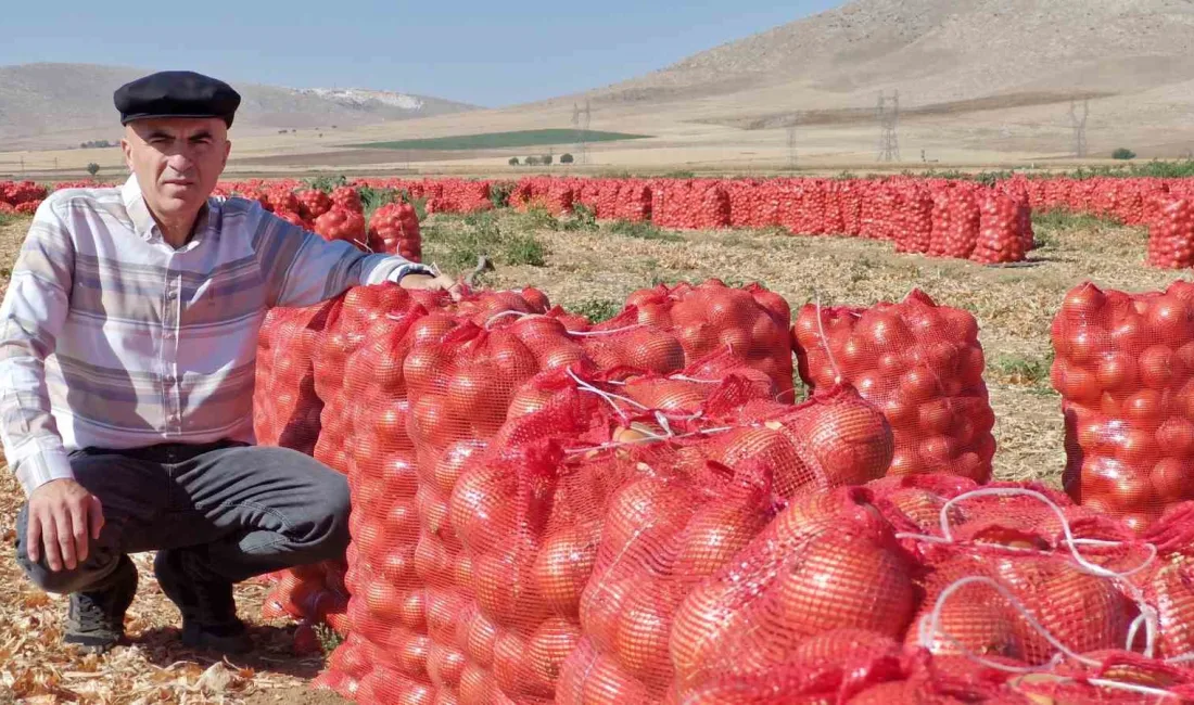 KARAMAN’DA HASADI BAŞLAYAN KURU