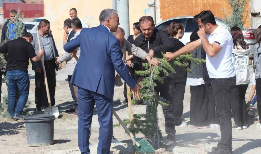 KONYA'NIN KARAPINAR İLÇESİNDE TAPU