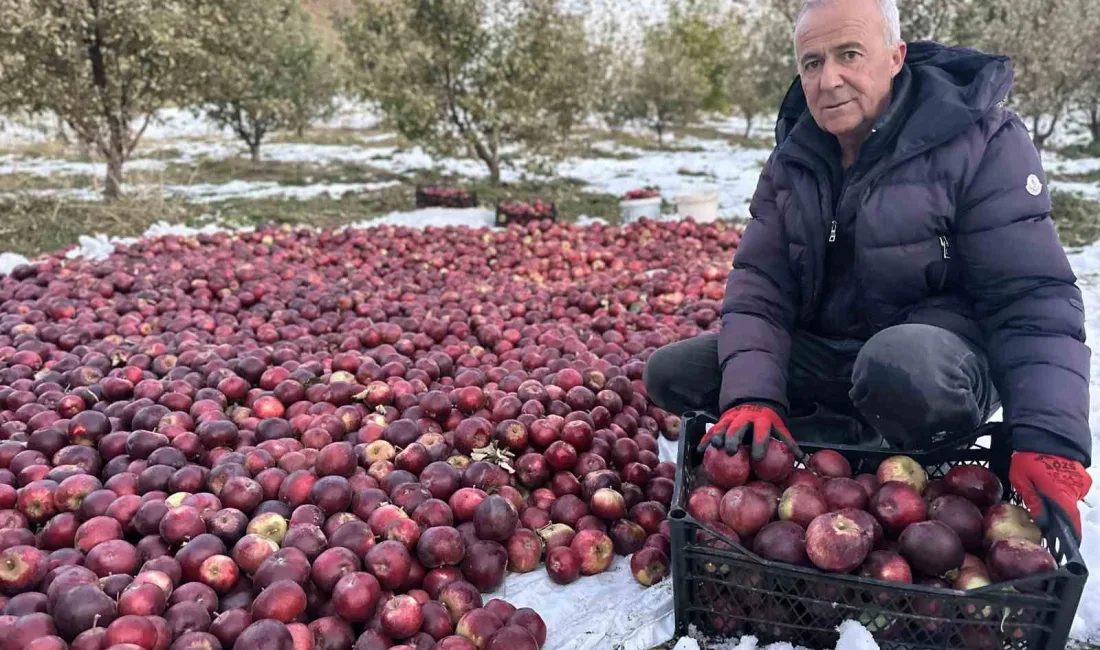 HAKKARİ’NİN YÜKSEKOVA İLÇESİNİN ESENDERE