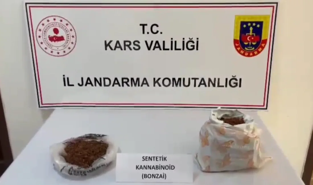 KARS'TA, JANDARMA EKİPLERİNCE DÜZENLENEN