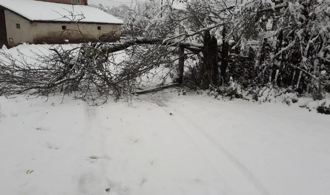 KASTAMONU'DA ETKİLİ OLAN KAR