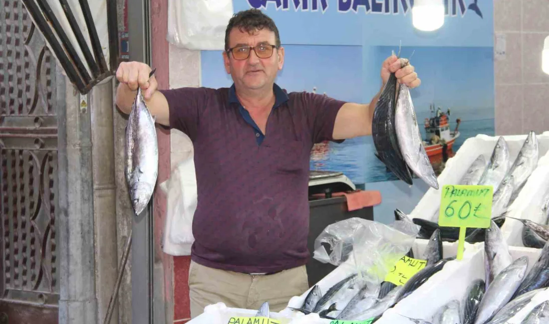 KASTAMONU'NUN İNEBOLU İLÇESİNDE YAŞANAN