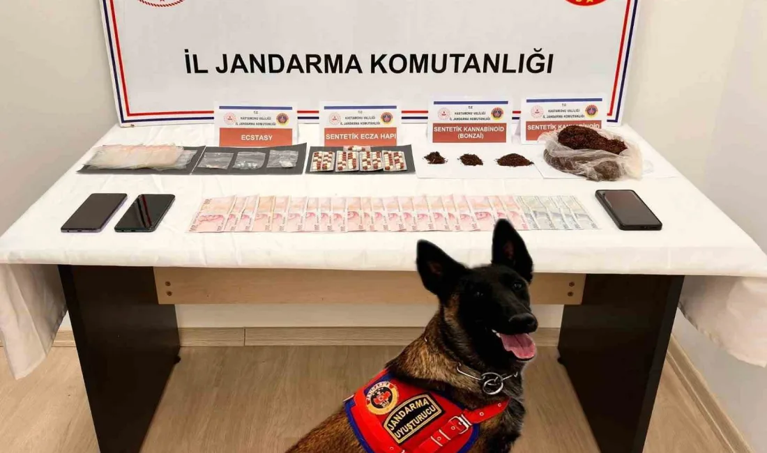 KASTAMONU’DA JANDARMA EKİPLERİ TARAFINDAN