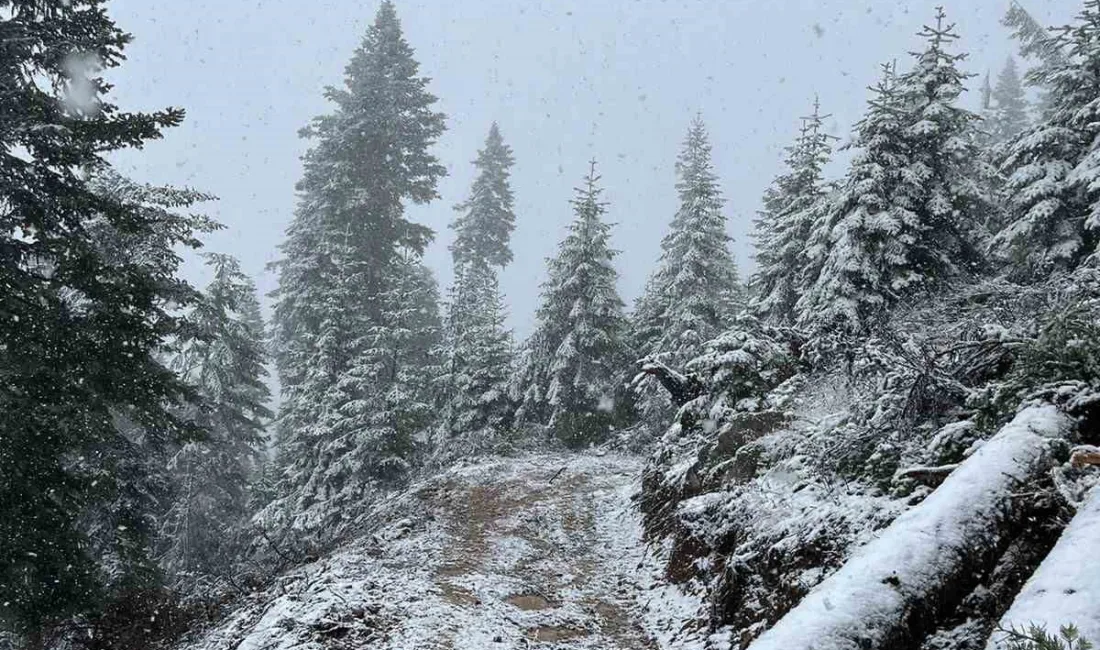 KASTAMONU'DA HAVA SICAKLIĞININ DÜŞMESİNİN