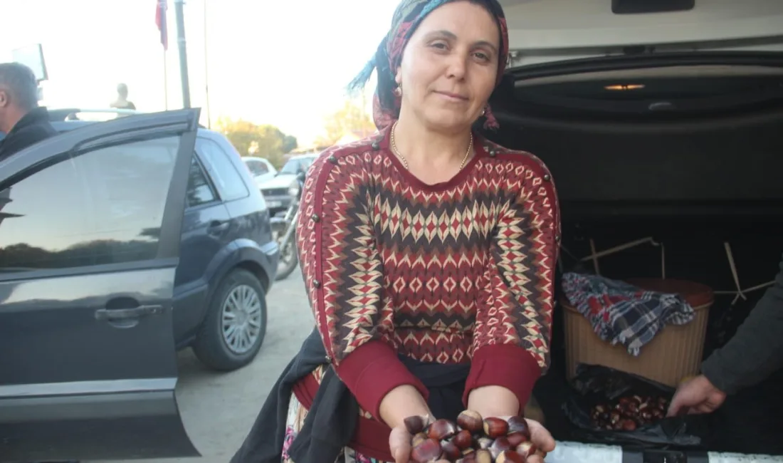 ÇANAKKALE'NİN BAYRAMİÇ İLÇESİ SINIRLARI