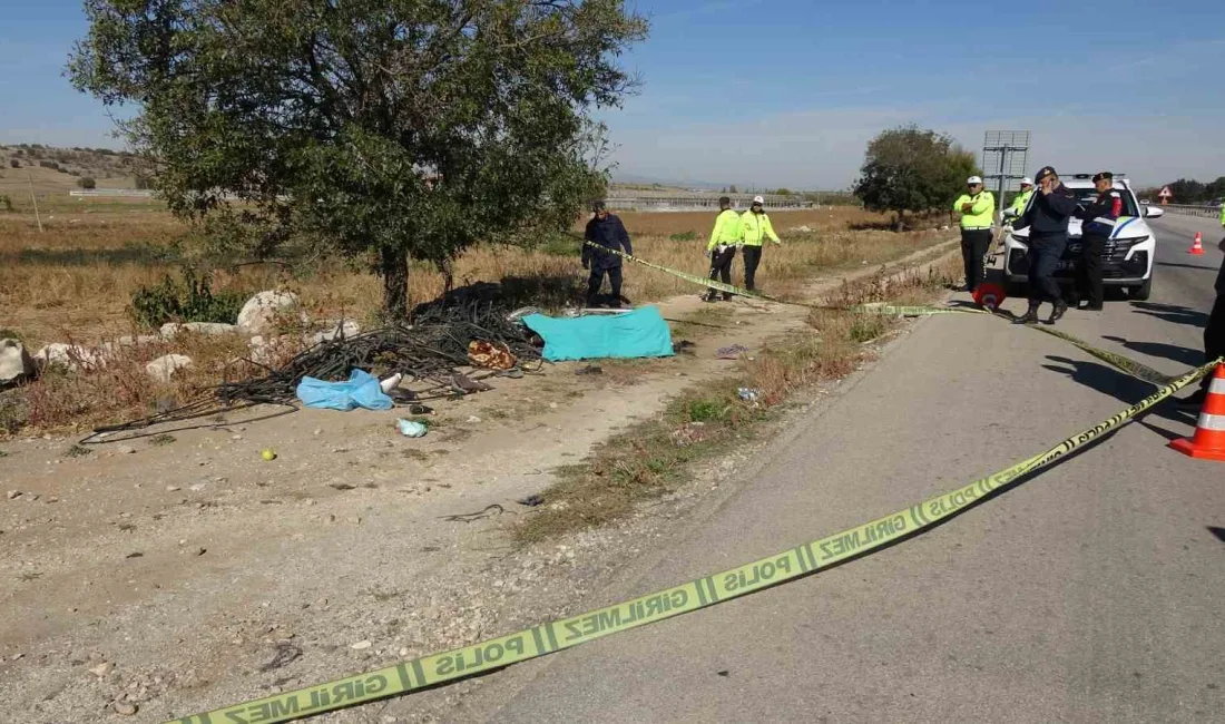 BURDUR-ANTALYA KARAYOLUNDA KEDİYE ÇARPTIKTAN