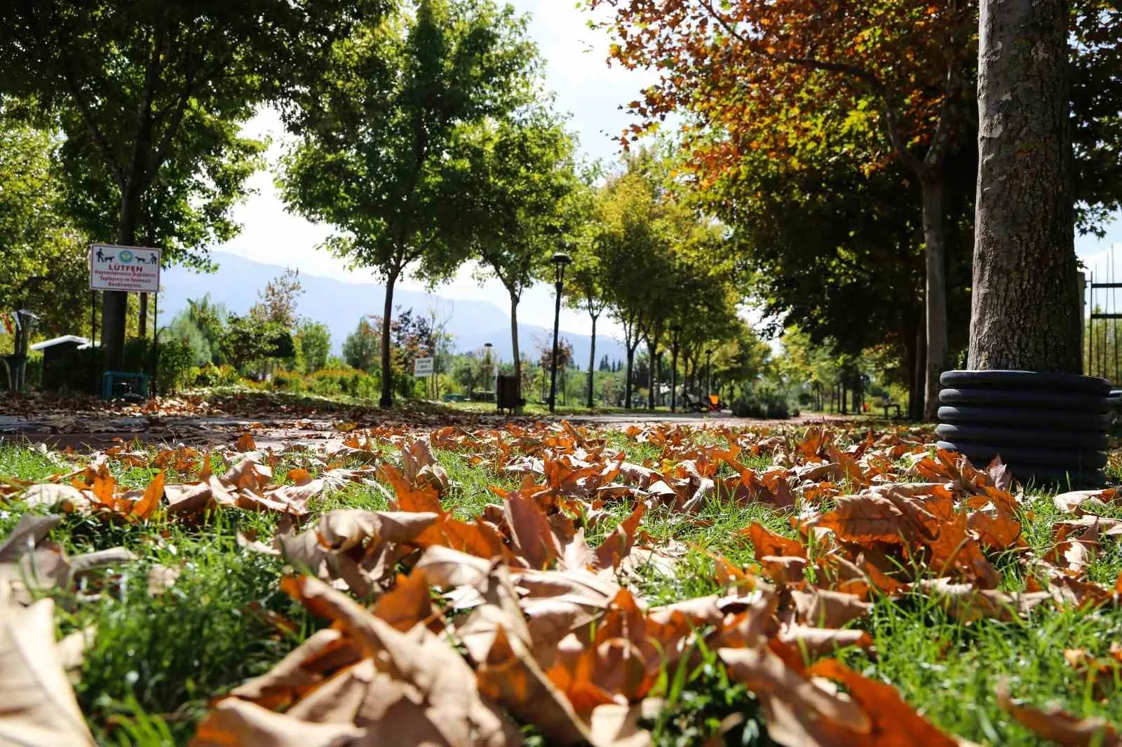 Kent Park’ta sonbahar manzaraları mest etti