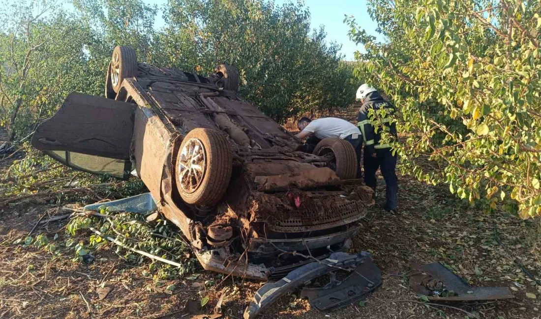 HATAY’DA KONTROLDEN ÇIKARAK MEYVE