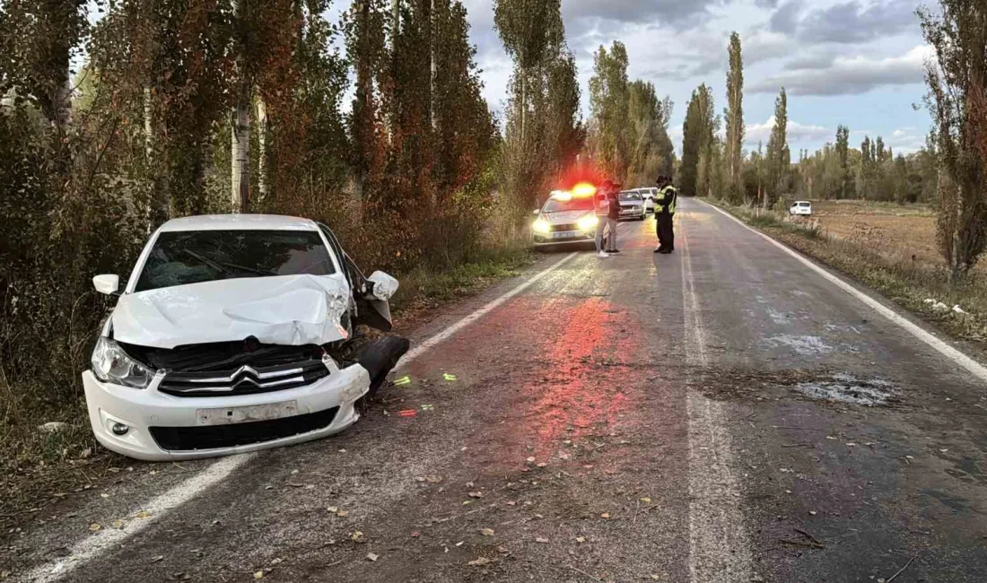 SİVAS’TA KONTROLDEN ÇIKAN OTOMOBİLİN