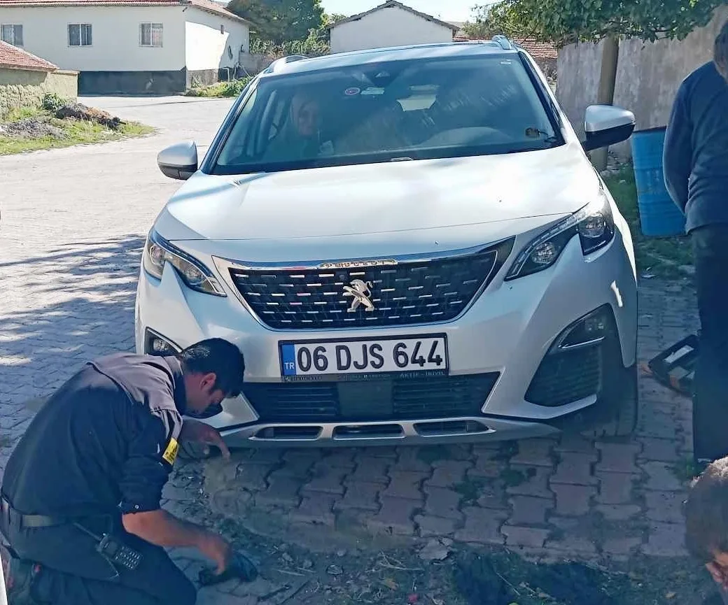 Konya’da otomobilin motoruna sıkışan kedi kurtarıldı