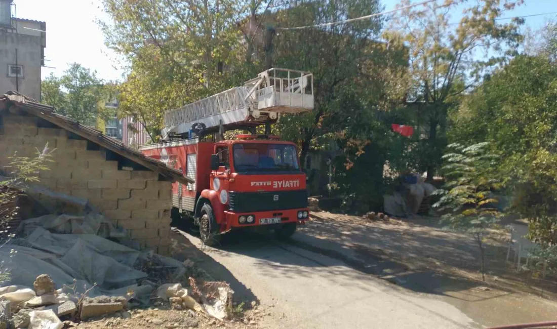 ANTALYA’NIN SERİK İLÇESİNDE TEK