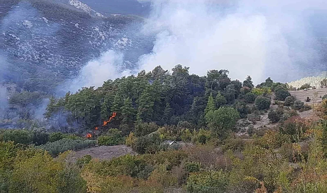 ANTALYA'NIN KUMLUCA İLÇESİNDE ÇIKAN