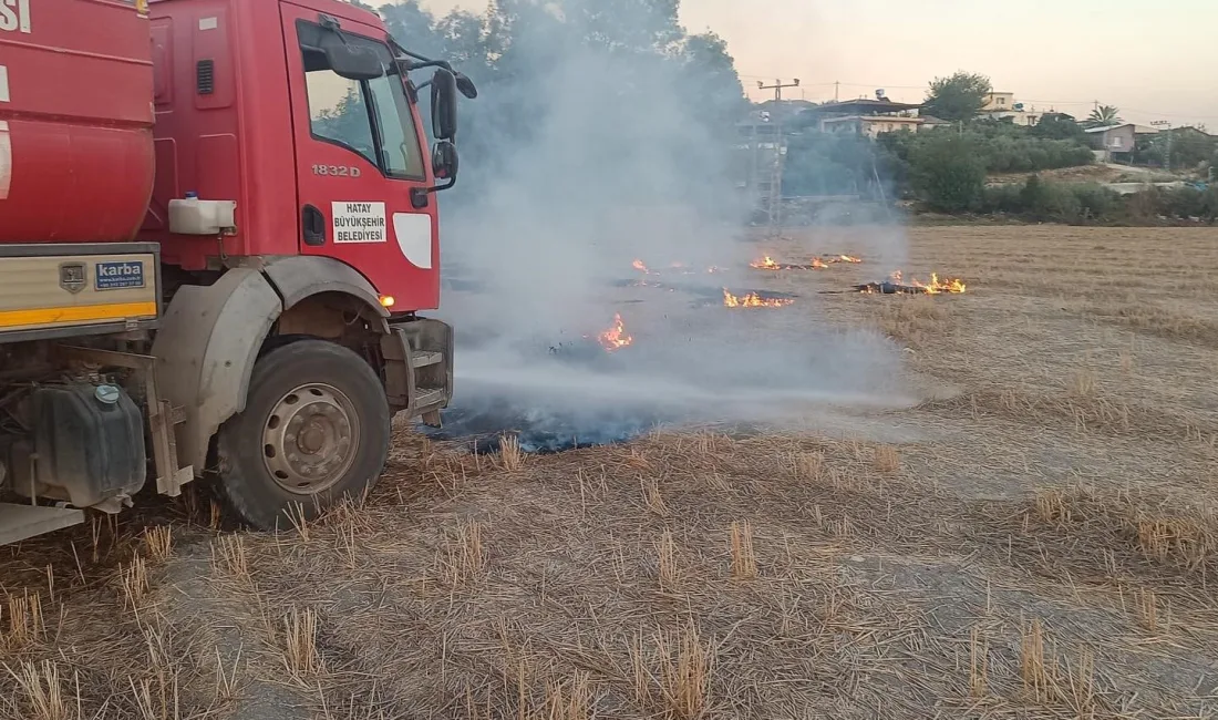 HATAY’DA BUĞDAY TARLASINDA ÇIKAN