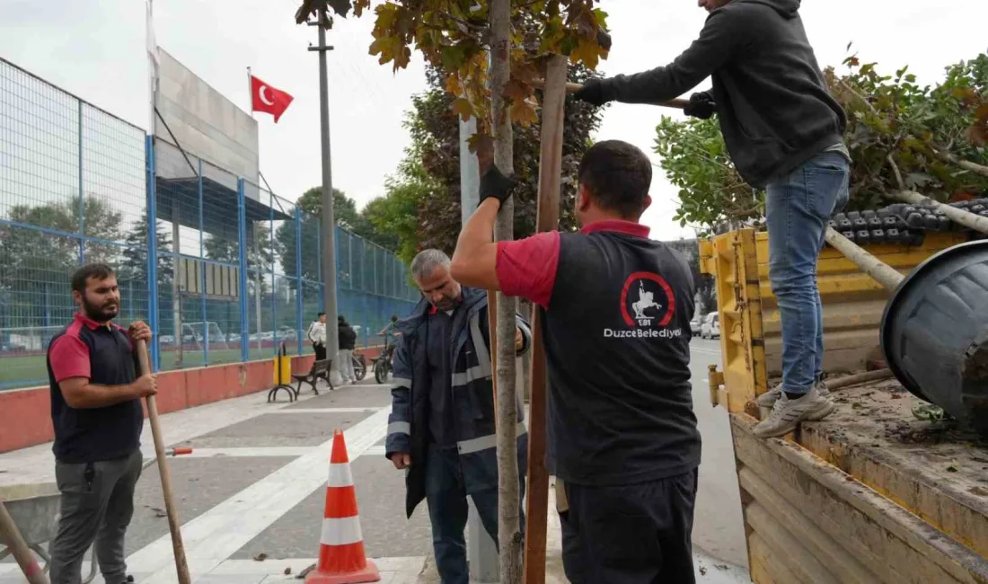 DÜZCE BELEDİYESİ, ŞEHRİN DÖRT