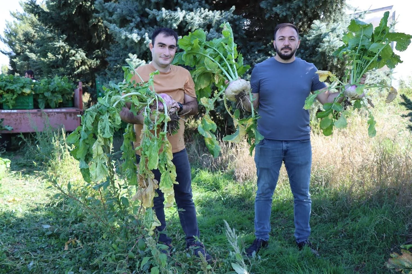 Lokman Hekim, o bitki o kadar faydalı ki tarlasının önünden geçmek bile yeterli diyor!