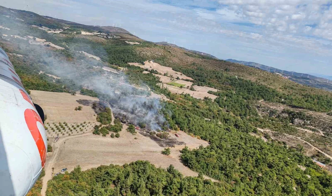 MANİSA’NIN KIRKAĞAÇ İLÇESİNDE TARIM