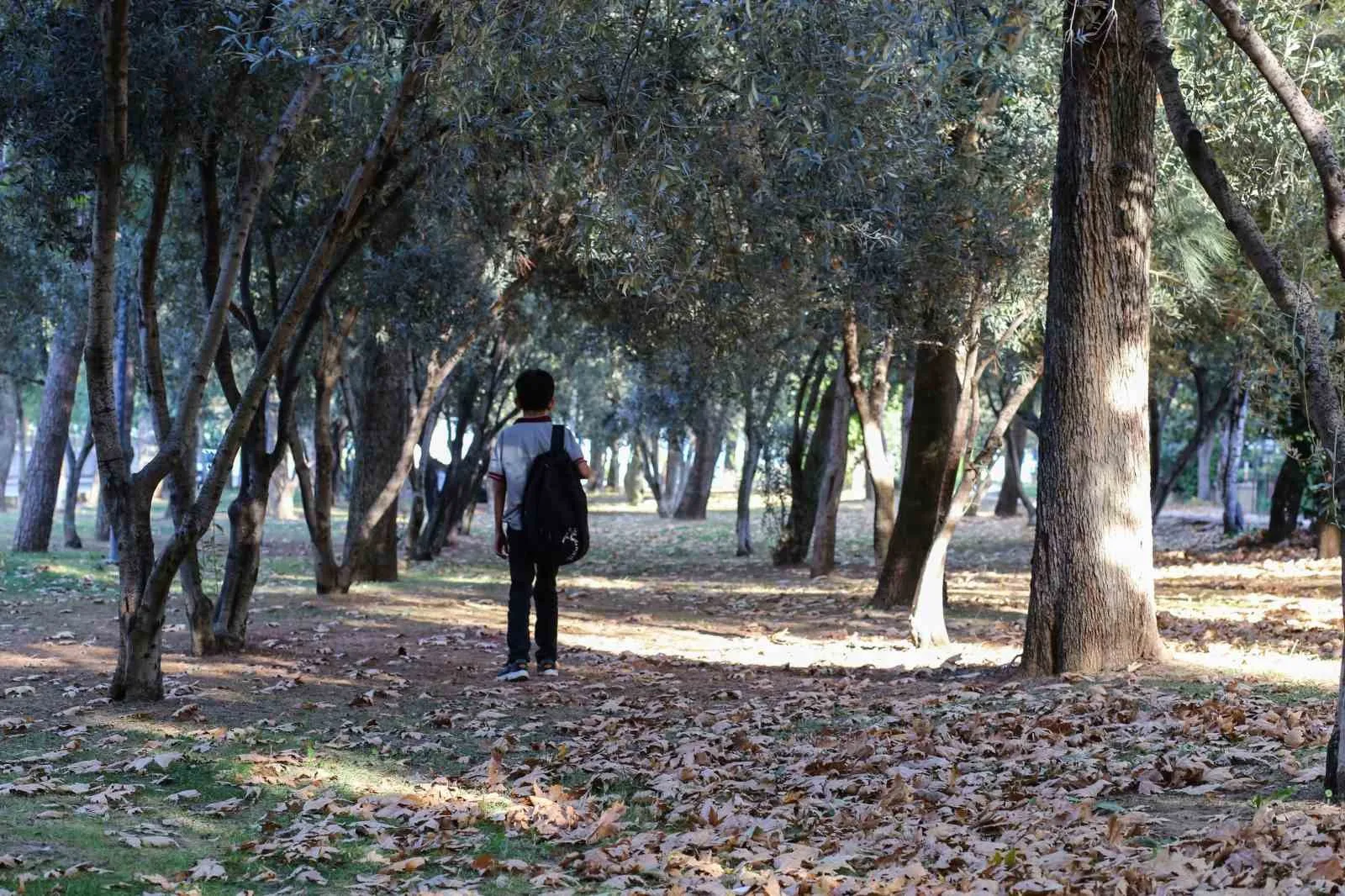 Manisa’ya sonbahar güzelliği geldi