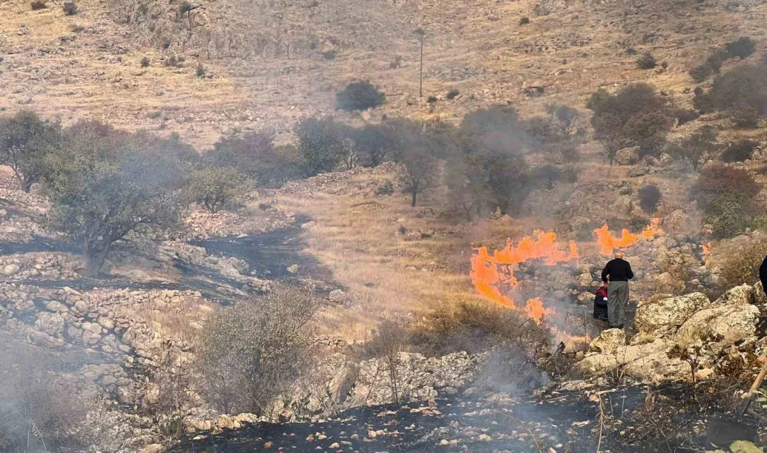 MARDİN’İN YEŞİLLİ İLÇESİNDE ÇIKAN