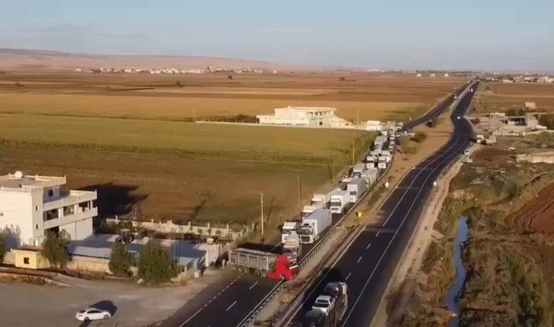 MARDİN'İN NUSAYBİN İLÇESİNDE SÜRÜCÜSÜNÜN