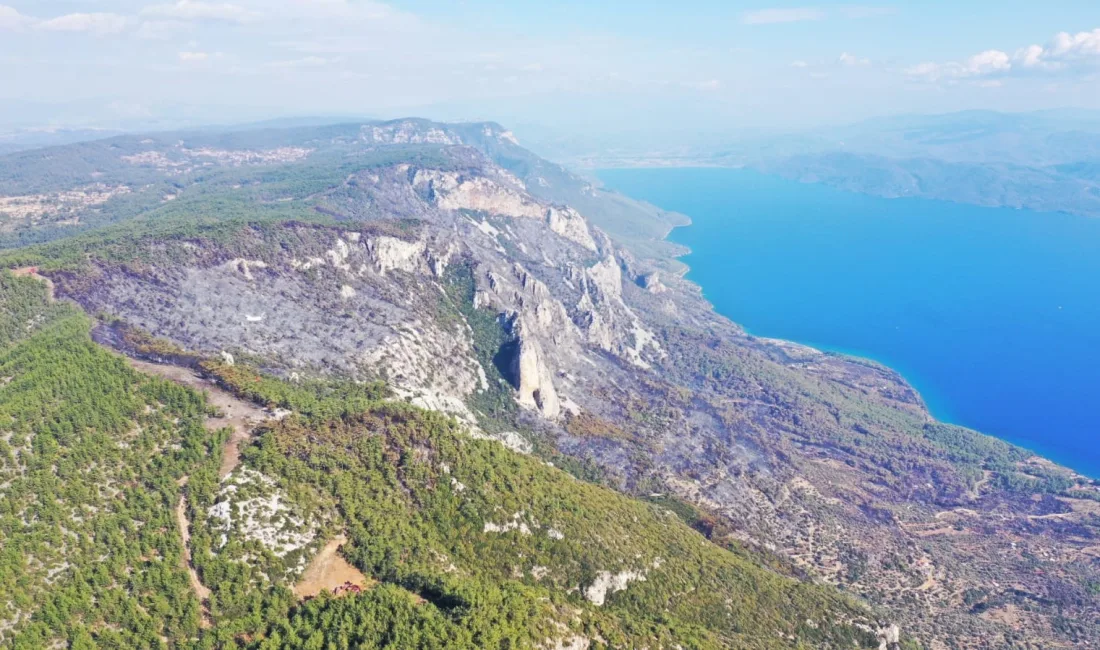 MUĞLA'NIN MENTEŞE ÇIKAN ORMAN