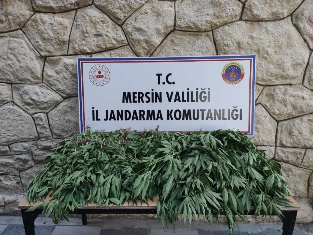 Mersin’de uyuşturucu serası kuran şüpheli yakalandı