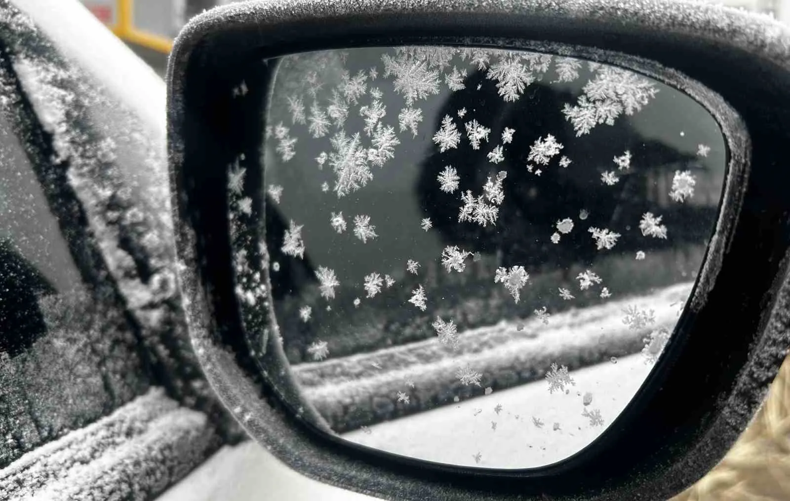 Meteorolojiden Bayburt için soğuk ve don uyarısı yapıldı