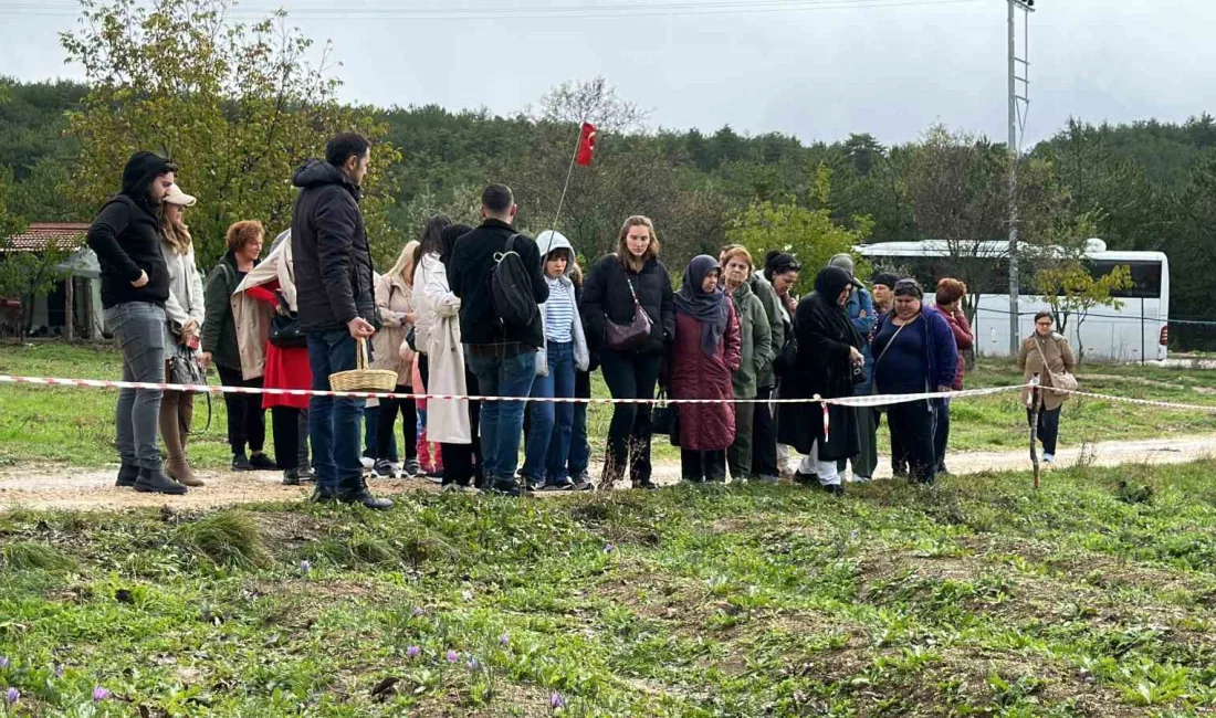 UNESCO DÜNYA MİRAS LİSTESİ'NDE