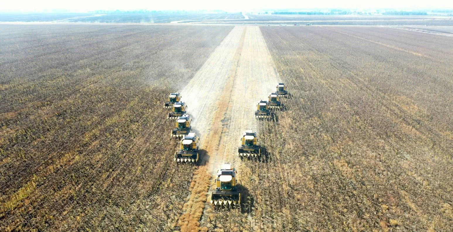 Muş Ovası’ndaki ayçiçeği hasadından 400 milyon TL gelir bekleniyor