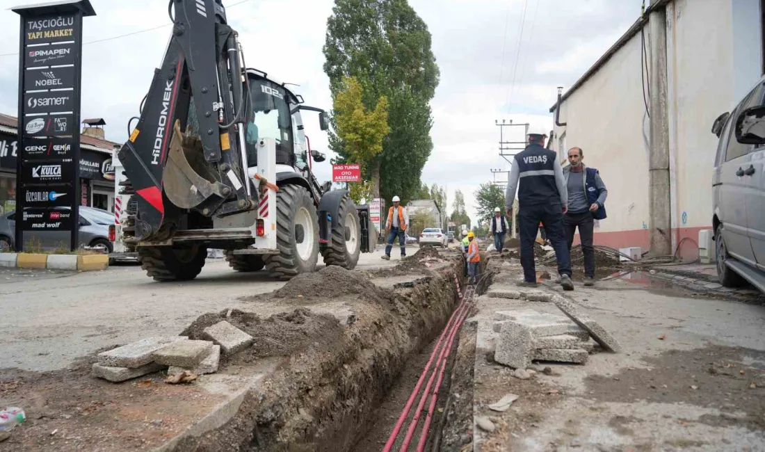 MUŞ’TA VAN GÖLÜ ELEKTRİK