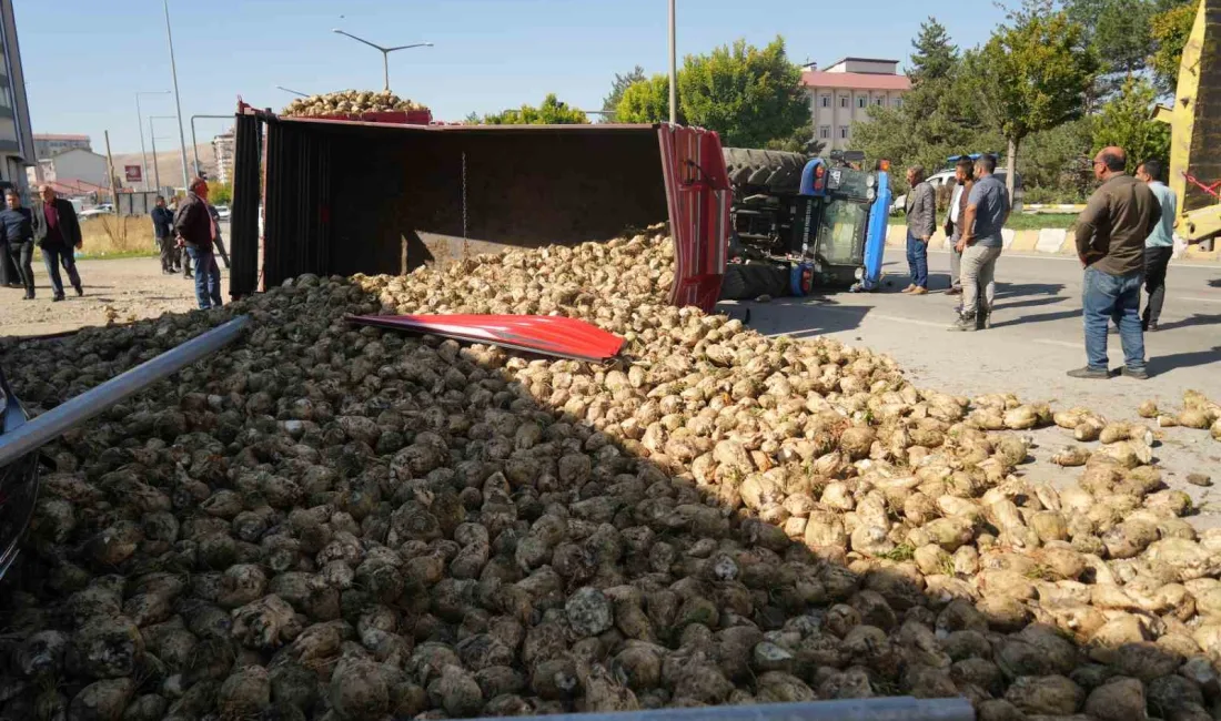 MUŞ’TA ŞEKER PANCARI TAŞIYAN