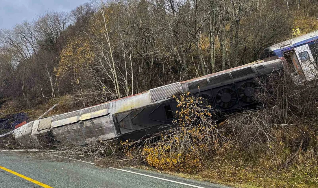 NORVEÇ’TE YOLCU TRENİ RAYDAN