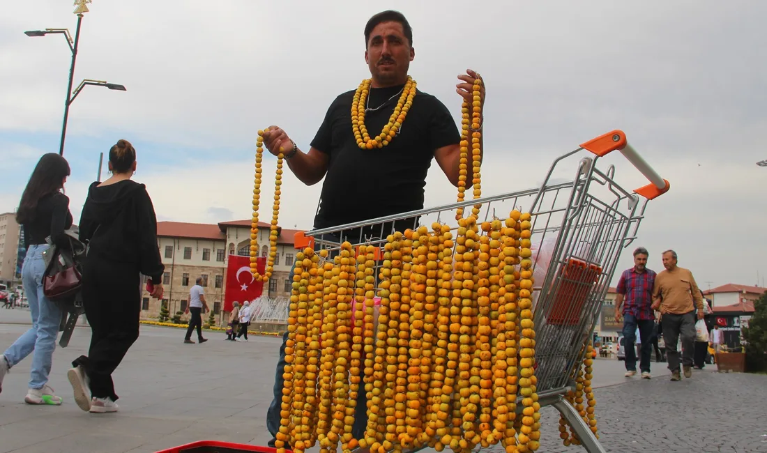 HALK ARASINDA DOĞAL İLAÇ