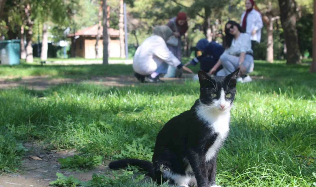 ÖĞRENCİLERDEN HAYVANLARI KORUMA GÜNÜ