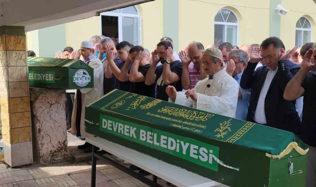 ZONGULDAK'TA ORMANLIK ALANDA DAYI