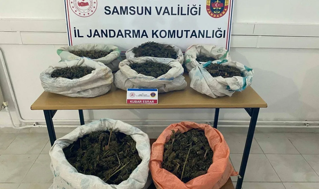 SAMSUN'DA JANDARMA EKİPLERİ TARAFINDAN